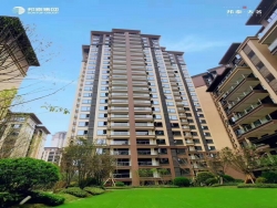 邦泰集团内江天著